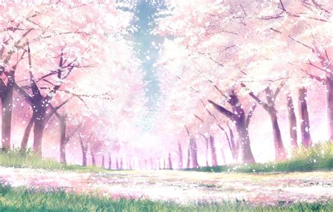 Wallpaper Park, spring, Sakura images for desktop, section арт - download