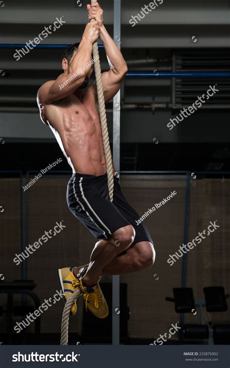 Fitness Rope Climb Exercise Fitness Gym Stock Photo 233876902 | Shutterstock