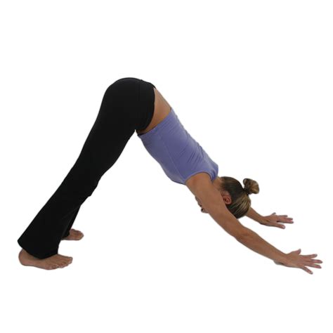 Downward Facing Dog Pose | Yoga Asanas for Beginners | Divinity Mag