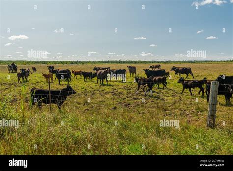 Rural Farm Ontario Canada Stock Photo - Alamy