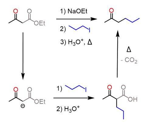 Acetoacetic Ester Synthesis - Chemistry Steps