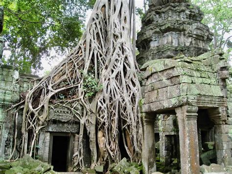 Touring the ancient Angkor Wat temples in Cambodia