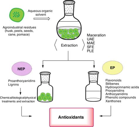 Maceration Extraction - Maceration extraction of essential oils. / This study used quantitative ...