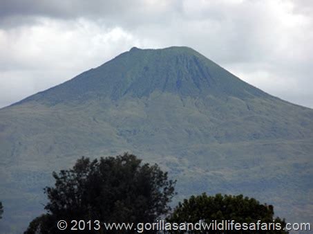 Uganda, Rwanda Tourism Travel Info Guide, News: Climbing Mount Karisimbi (Rwanda)