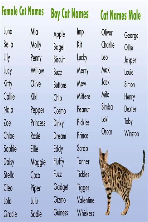 Cat Names Male List