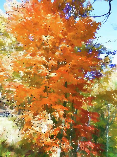 Maple tree in autumn Painting by Jeelan Clark - Fine Art America