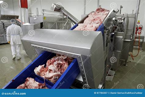 Cow meat production editorial photography. Image of machine - 87784307