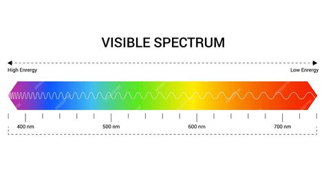 Premium Vector | Spectrum wavelength visible spectrum color range ...