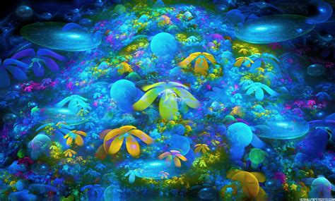 🔥 [119+] Reef Wallpapers | WallpaperSafari