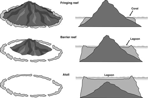 Types of coral reef formations - INSIGHTS IAS - Simplifying UPSC IAS ...