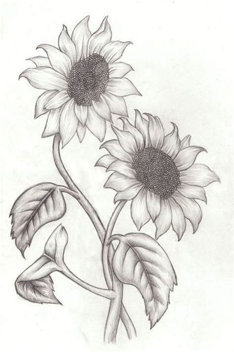 Pencil Drawing Ideas Flowers - Aesthetic Drawing