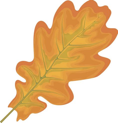 Oak leaf. Yellow autumn oak leaf. Oak tree leaf. Autumn vector illustration isolated on a white ...