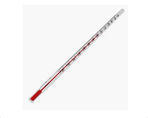 Thermometer Laboratory 12" Length