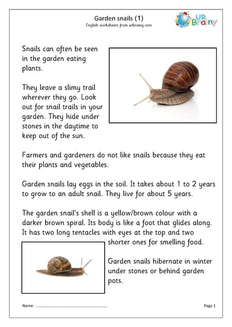 Garden snails (1) - The Animal Kingdom by URBrainy.com