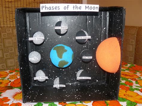 Science Project Moon Phases submited images.