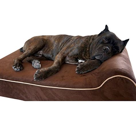 5 Best Chew Proof Dog Beds for Rough Chewers