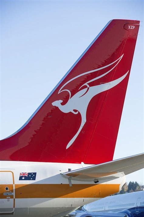 Kangaroo Airline Logo - LogoDix