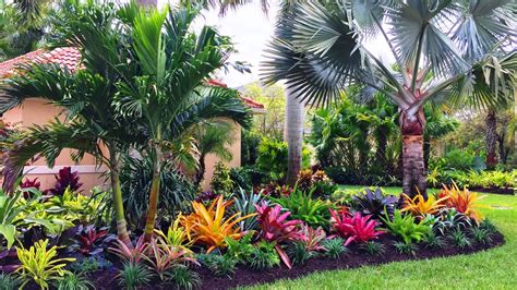 Famous Tropical Garden Ideas Full Sun References