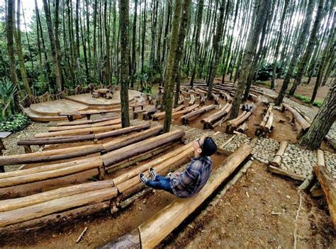 Hutan Pinus Mangunan [update 2023] : Foto, Lokasi, Rute, Tiket Masuk dan Fasilitas