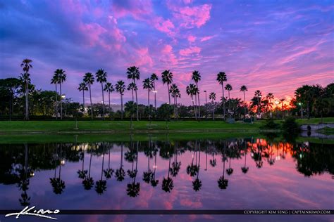 Palm Trees Over Lake Palm Beach Gardens Florida Sunset