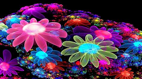 Colorful Flower Wallpaper 3D – Cute Wallpapers 2024