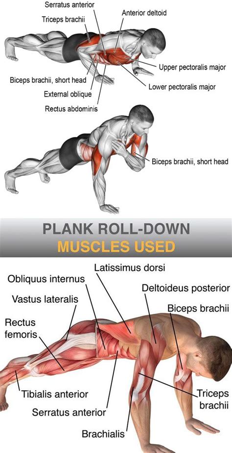 plank time gradually | Fitness training, Planet fitness workout, Plank workout