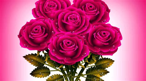 Pink Roses HD Wallpapers - Top Free Pink Roses HD Backgrounds - WallpaperAccess