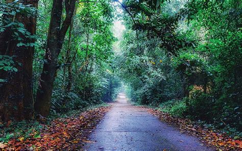 Hanoi Day Tour Cuc Phuong National Park | Best Hanoi Day Tours