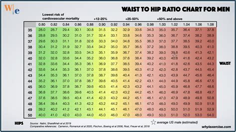 Waist-to-hip ratio: Reliable research shows if you need to lose weight