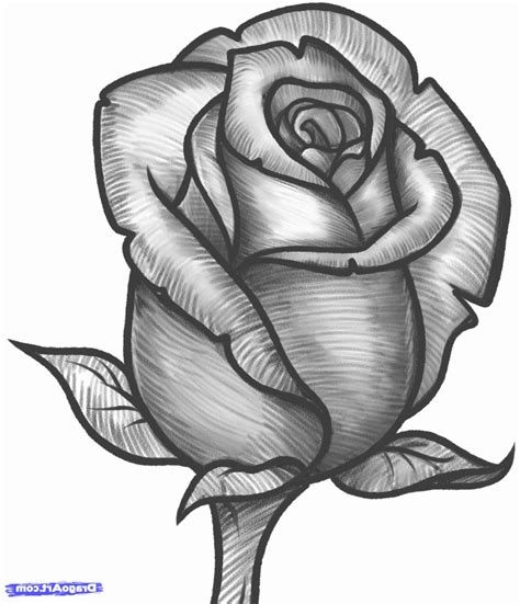 Rose Pencil Drawing | Free download on ClipArtMag