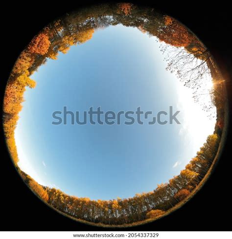 Fisheye Lens Structure: Over 768 Royalty-Free Licensable Stock Photos | Shutterstock