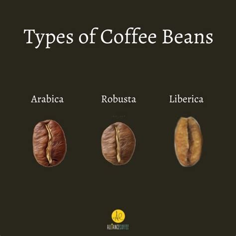 26+ different Types of Coffee, explained - Your Ultimate Guide to Coffee Drinks | Alliance ...