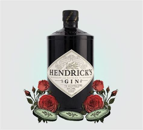 13 Best Gins for a Gin and Tonic