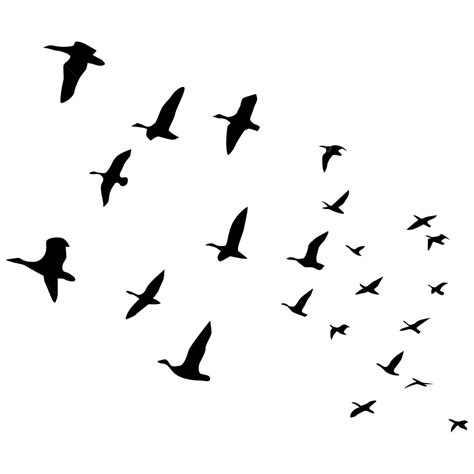 Birds Flying Silhouette PNG Free, Lot Of Flying Birds Silhouette, Bird, Silhouette, Bird ...