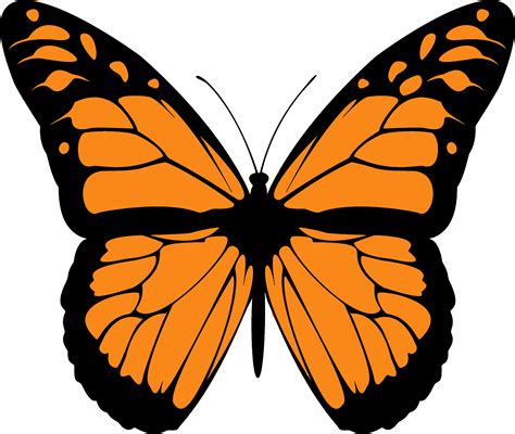 Monarch clipart - Clipground