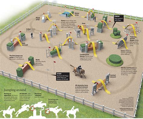 Horse show jumping infographic on Behance