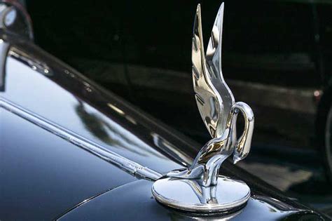 6 Car Logos with Bird, Did You Know?