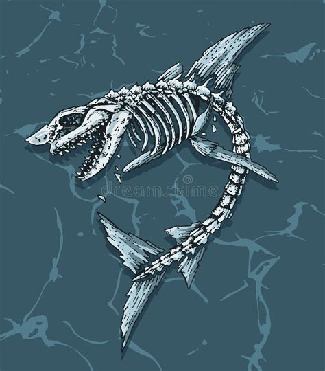 Skeleton Shark Mouth Stock Illustrations – 53 Skeleton Shark Mouth ...