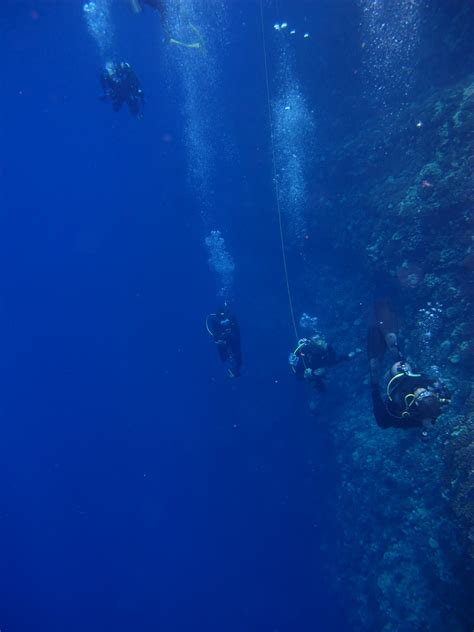 Daily Underwater Photo: Backside Molokini Crater, Maui