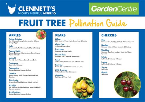 Fruit Tree Pollination Guide | Clennett's Mitre 10