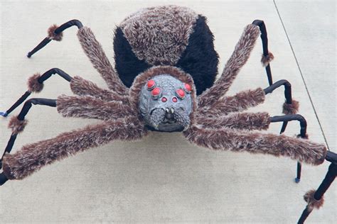 Crazy Giant Spider Prank! - Badchix Magazine