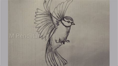 Flying Bird Pencil Drawing