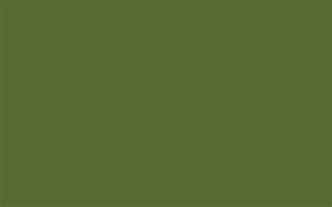 2880x1800 Dark Olive Green Solid Color Background