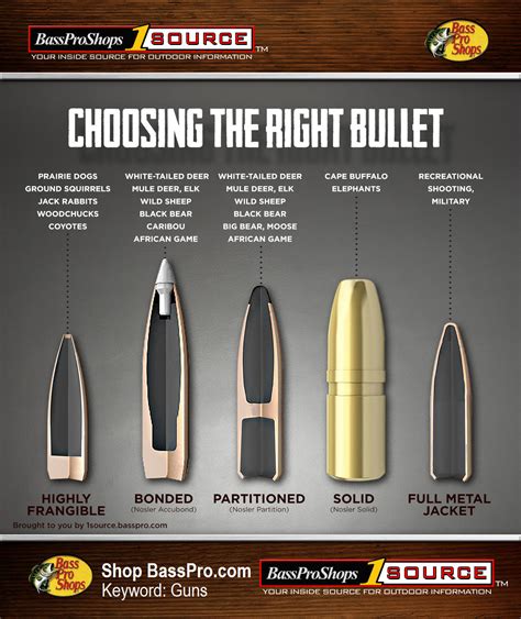 Rifle Ammunition Types