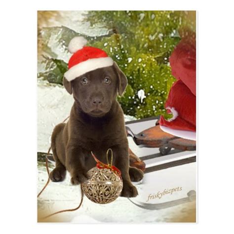 Chocolate Lab Loves Christmas Cards | Zazzle