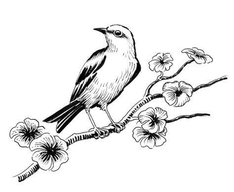 Premium Photo | Bird on a blossoming tree. Ink black and white drawing