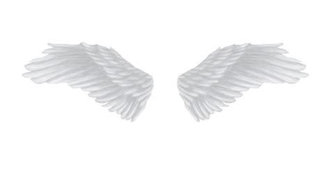 White angel wings PNG