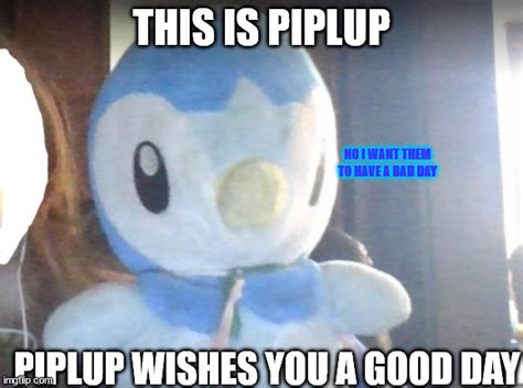 piplup wishes you a good day - Imgflip