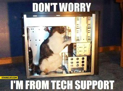 Don’t worry I’m from tech support cat fixing computer | StareCat.com