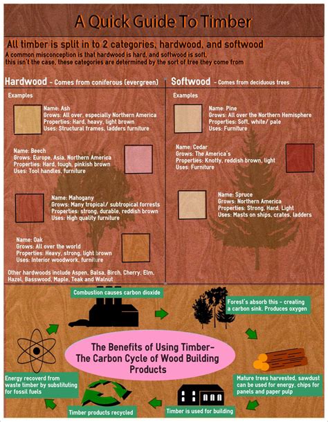 What Are The Uses Of Softwood - Ryan Fritz's Coloring Pages